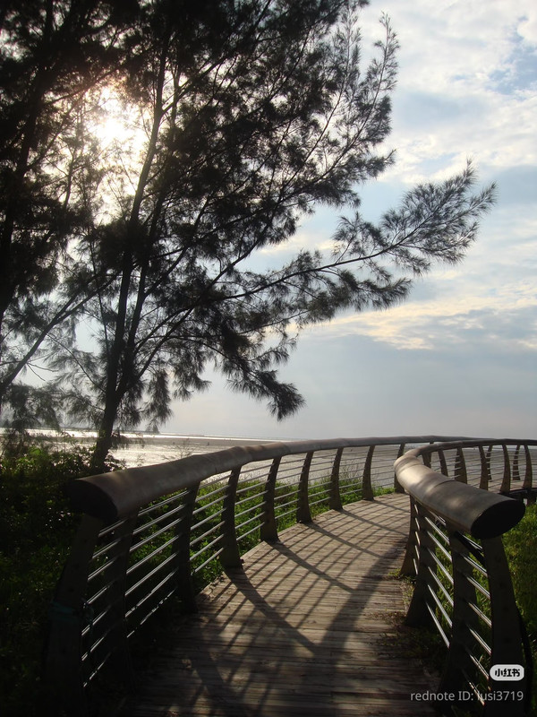 photo 10 2025 12 14 22 34 27