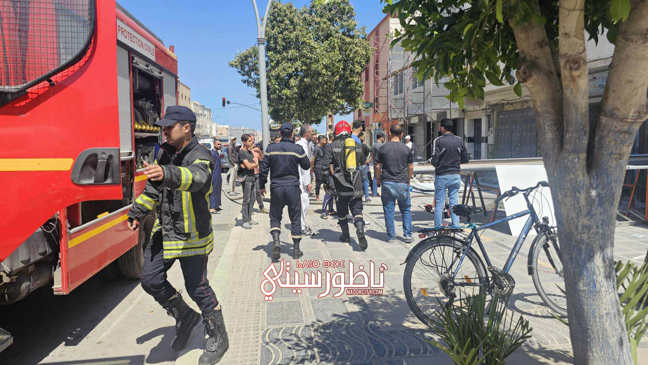 494823912-1686894745292915-2852898796556126975-n