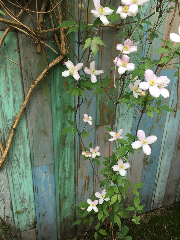 CEA9124C-D4E0-4EEC-9EE0-7C32412D0CD7