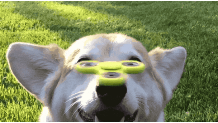 GIF-20250930-064431-132.gif