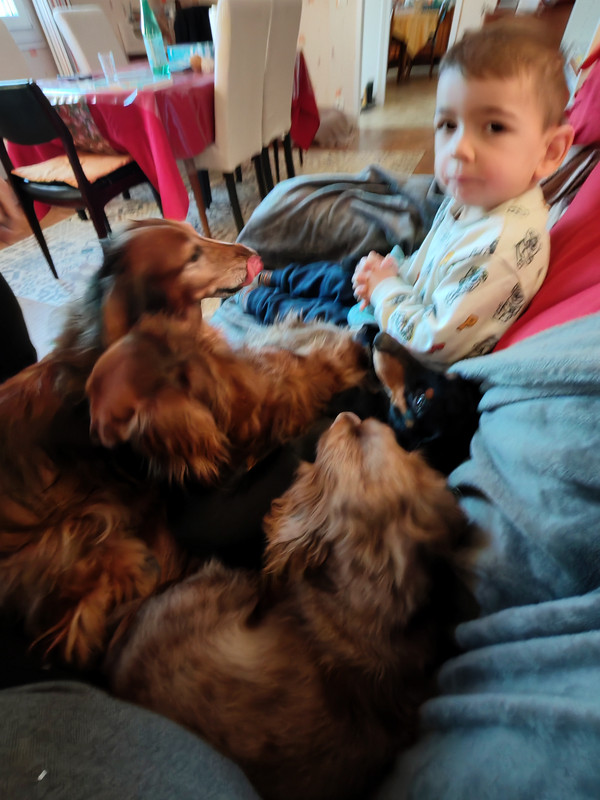 [Image: IMG-20241231-164156.jpg]