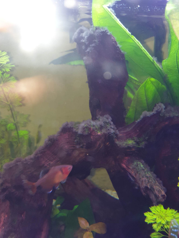 318170543_1106982033337427_8379503050230274773_n