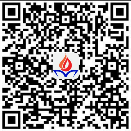 QR Code Pix