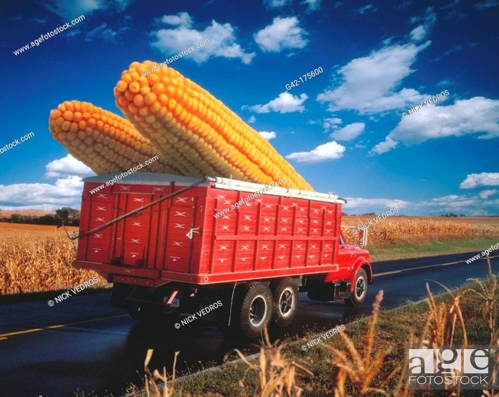corn