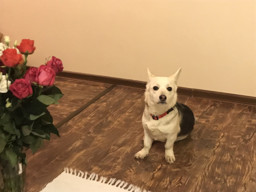 48DA40C6-785C-4C9C-8671-A8E696791037