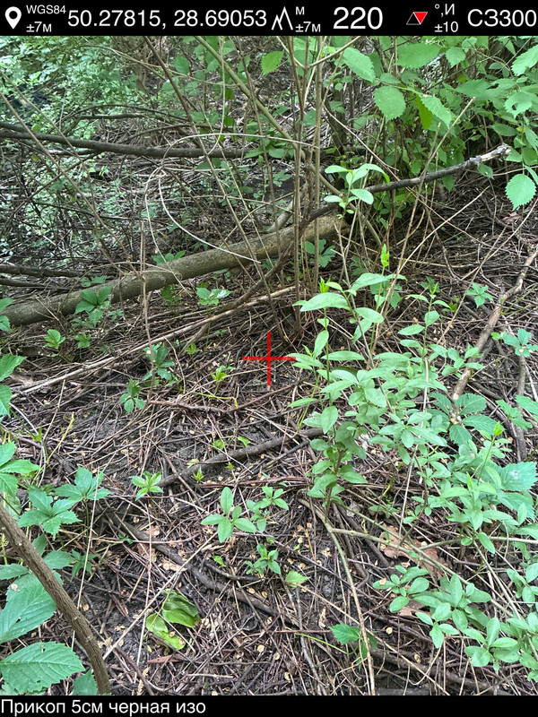 photo 69 2026 05 27 16 58 31