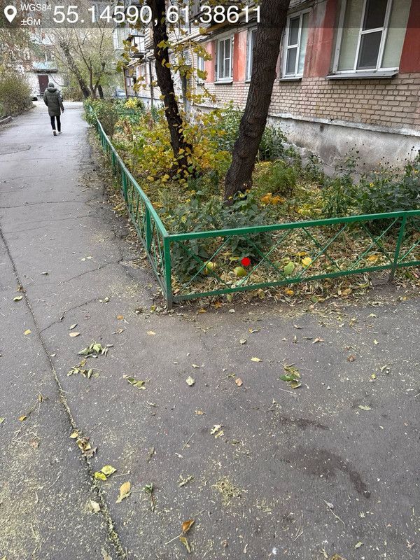 photo_10_2025-10-16_15-59-09