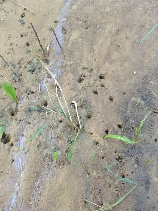 9A350202-BC90-4686-B5FE-17D9E9C872BB