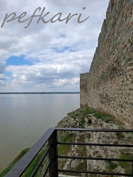 Slika