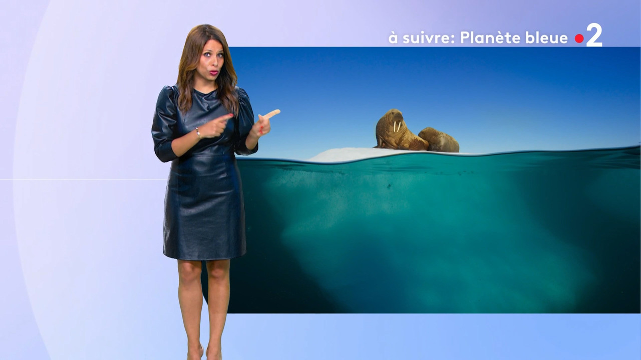 2021-07-11_20_55_Fr2_Meteo.mp4_snapshot_07.47.625