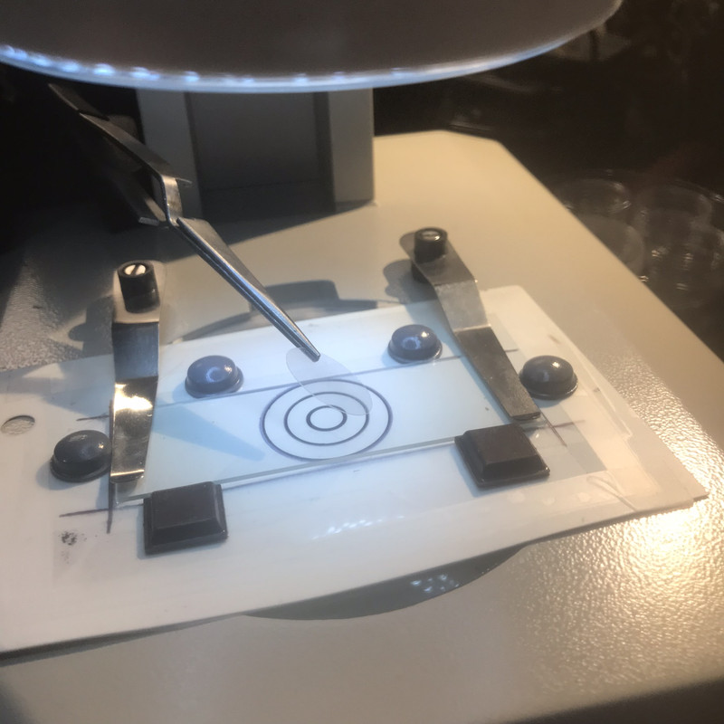 E58EB289-70AA-4BCE-BB32-36FAE6BC23E0