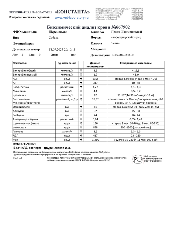 Биохимический анализ крови (667902)