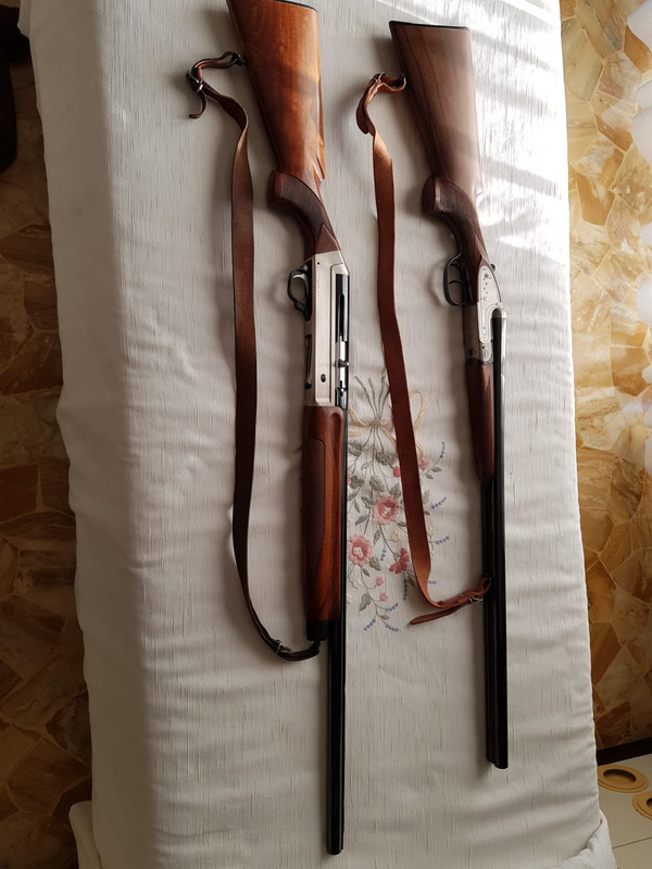 36C08964-9FFE-4AD5-A86F-081F290C1653