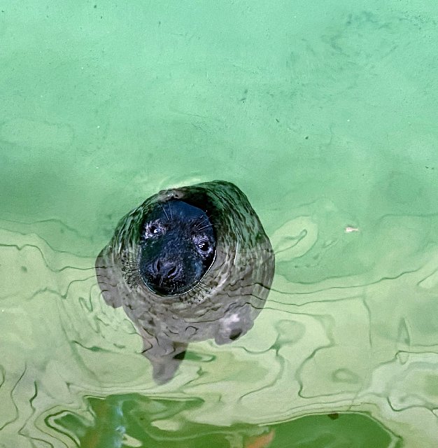 F19-B9-DD1-D109-4-C1-F-AA1-C-98-BED652-D