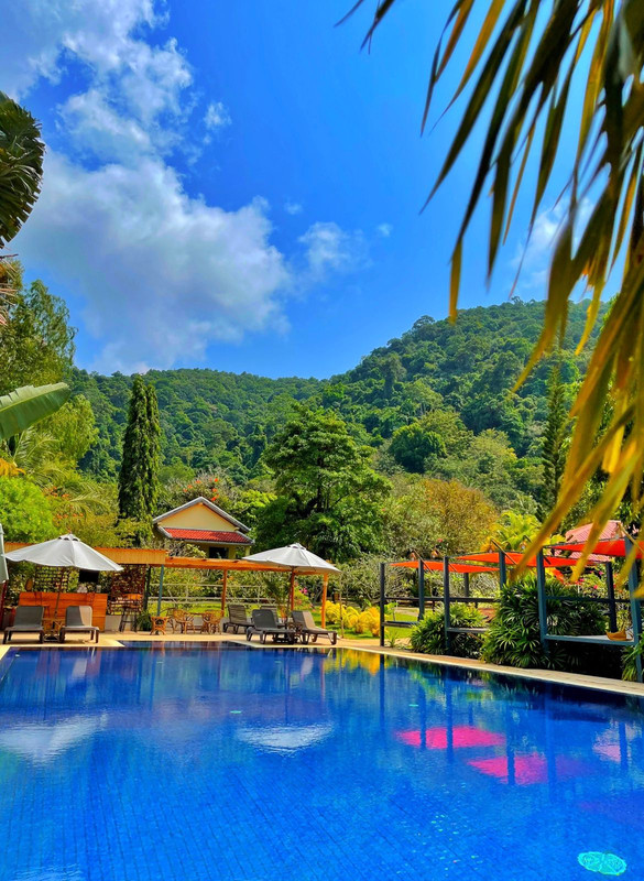 See Park by pool