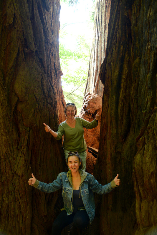 Árboles gigantes, fuegos y volcanes extintos - Oregon y California norte (2018) - Blogs de USA - Rogue River y costa norte de California (18)