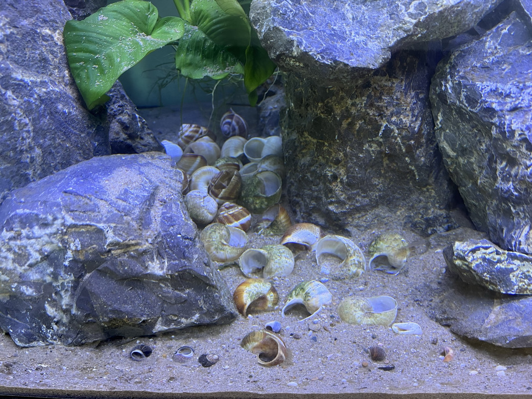 CDBD936F-41A9-46EE-A462-CC6BFAAFDD33