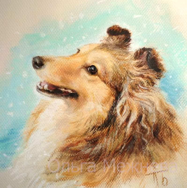 на сайт Рыжая 624181c8832ab_hor. IMG_20220328_121807