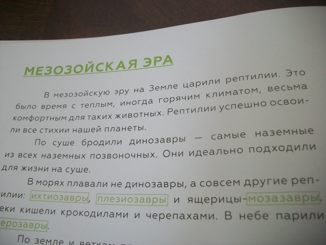 100_7595