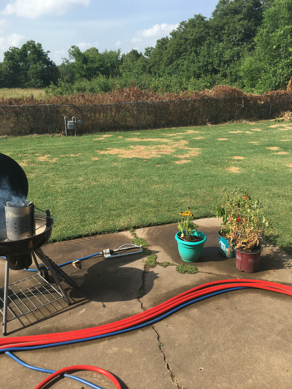 80E2E1F4-5E07-4BA5-8D56-BA534B584C96