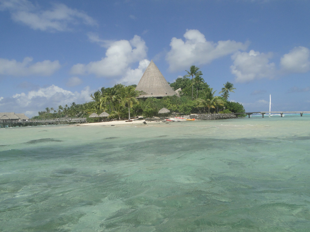 Polinesia, nosotros y la visión del paraíso. - Blogs de Polinesia Francesa - 3° Etapa: BORA BORA. (23)