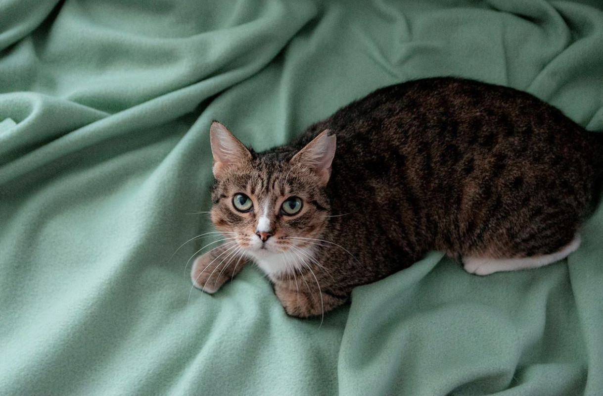 2DC72A65-7F5F-4A2F-9A4C-16D4C47C7E36