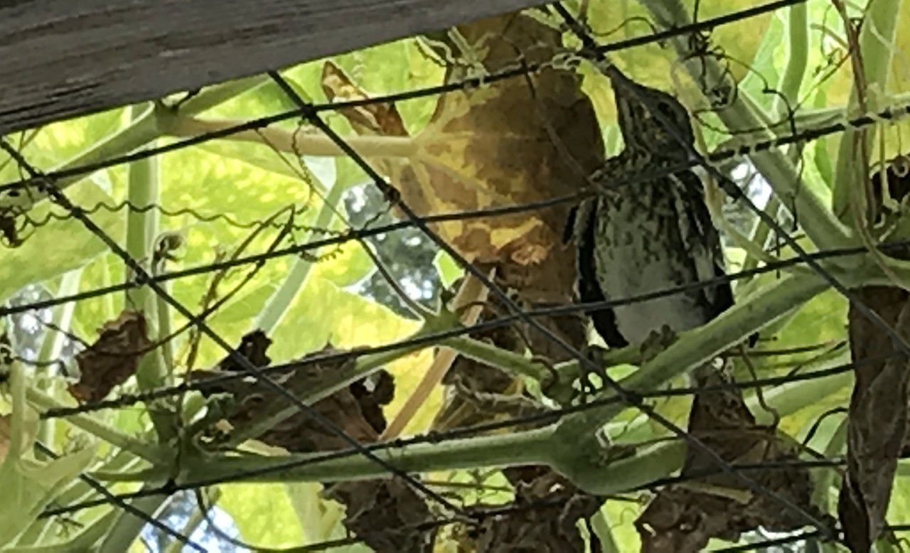 8551CF55-A5A8-445E-975E-E793F5B1F297