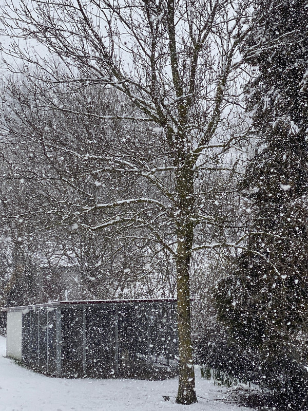 B096815C-D004-4E4F-B299-3C6439DB249A