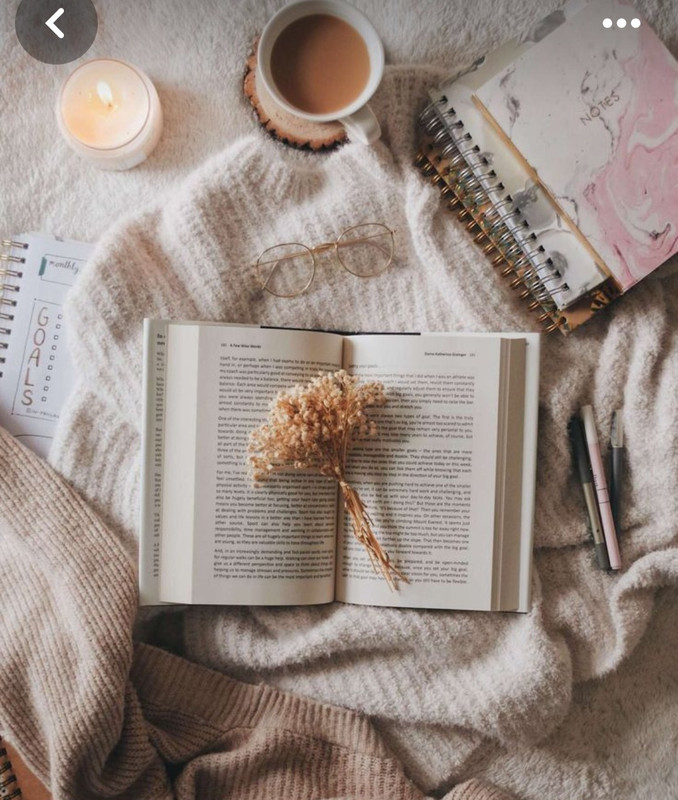 Screenshot_20240608_071249_Pinterest