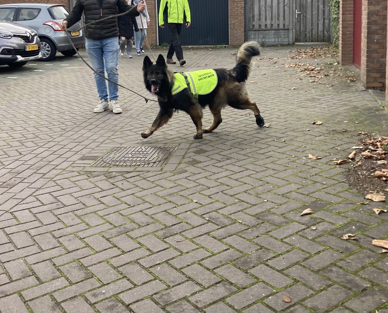 Afbeelding