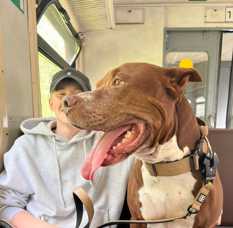 3552E31B-A7DE-49BF-A5A2-6481E385CC50