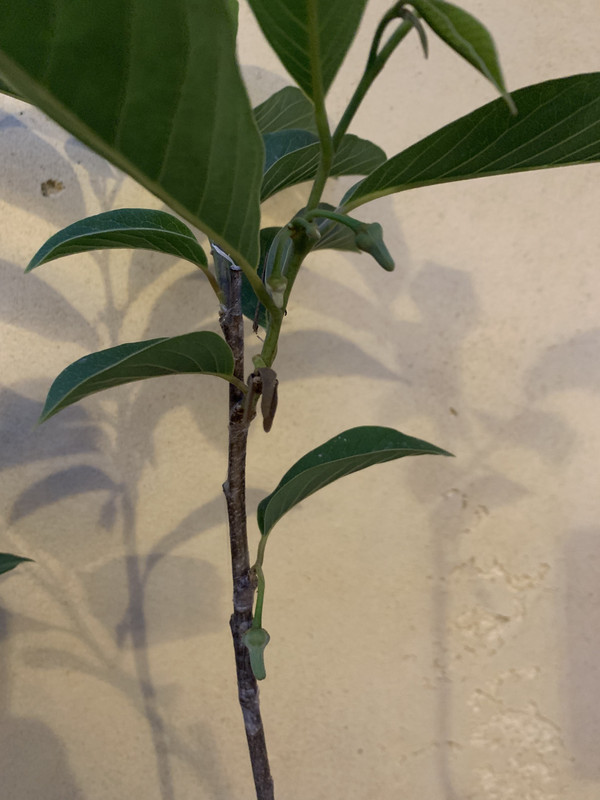 53B22174-8328-45DF-83FC-242981ED09B0