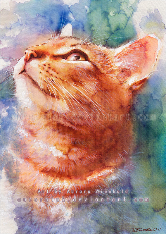 12-illuminate-my-world-by-auroraink-d5fy422