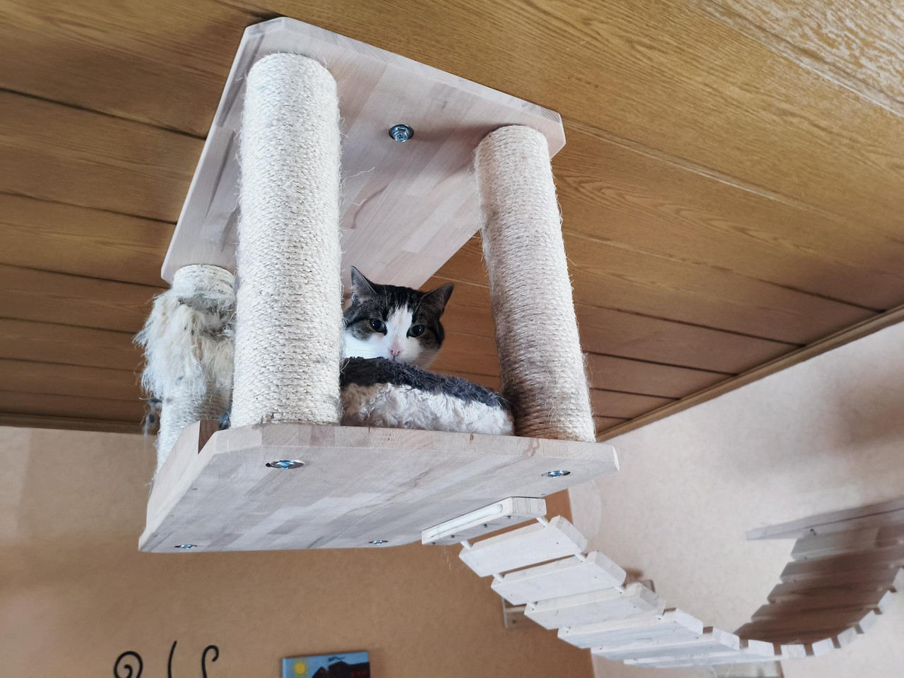 MVIMG 20260415 162516