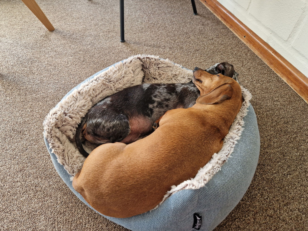 [Image: 20240629-192119.jpg]