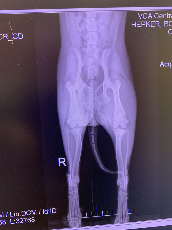 D99B7FF2-9CD6-4535-8114-2B5E946978E4