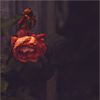 Stock-Icons-New-66