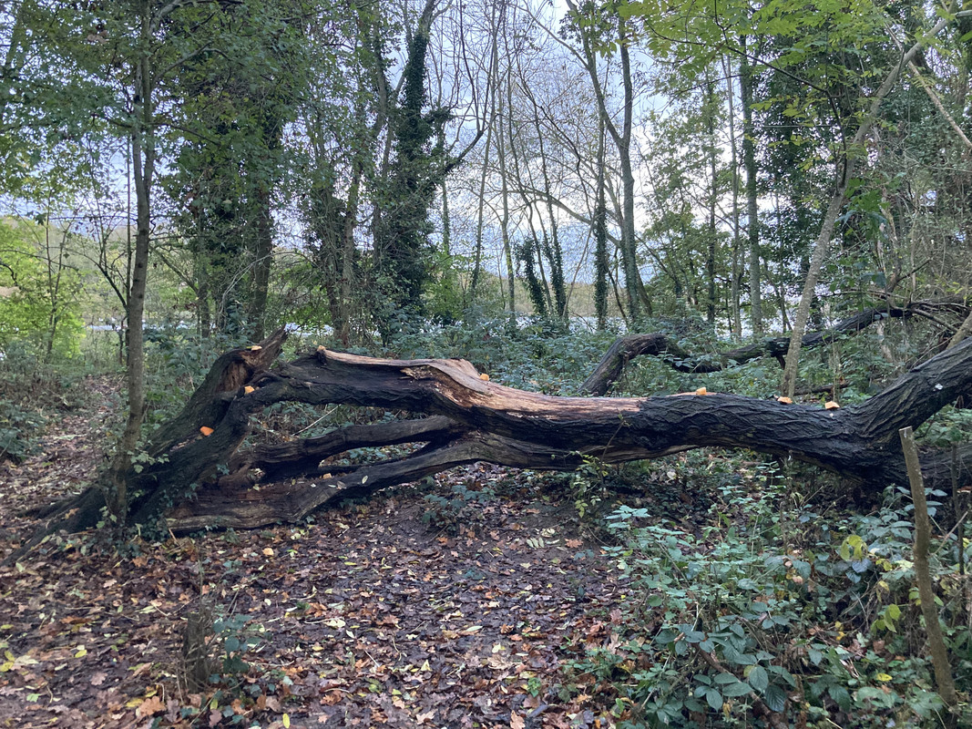 B23384A6-1B2B-48E8-87D3-0A059F570930