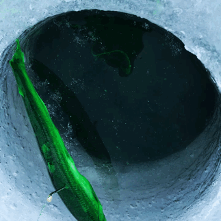 11DAF2E2-3A41-4989-98DA-8AEE43093489