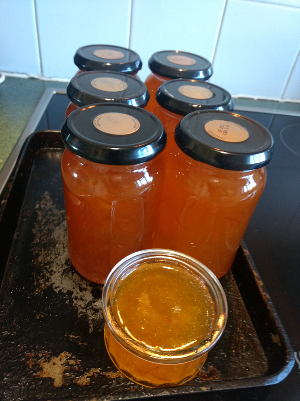 IMG 20211205 135201364