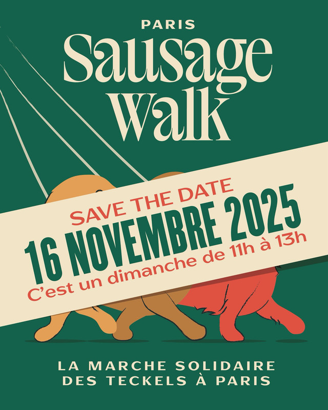 [Image: IMG-20250826-WA0003.jpg]