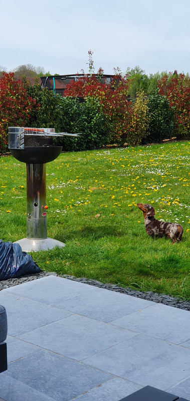 [Image: 20220418-132311.jpg]