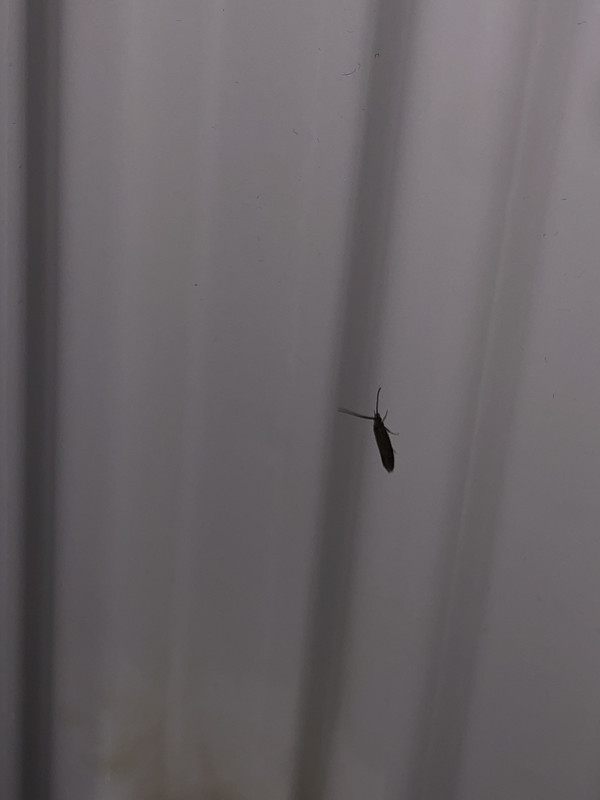 944FDCFC-72C0-4E76-98B9-202FAA6196CF