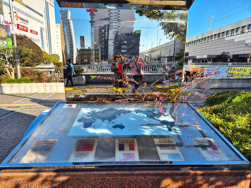 Utsunomiya-13-11-2024 - Japón y sus Pueblos-2024 (33)