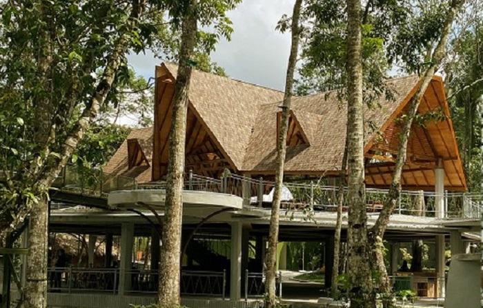 Heha Forest, rekomendasi tempat wisata baru di Jogja yang menarik untuk dikunjungi. Lokasinya dekat hotel hingga tempat sewa motor.