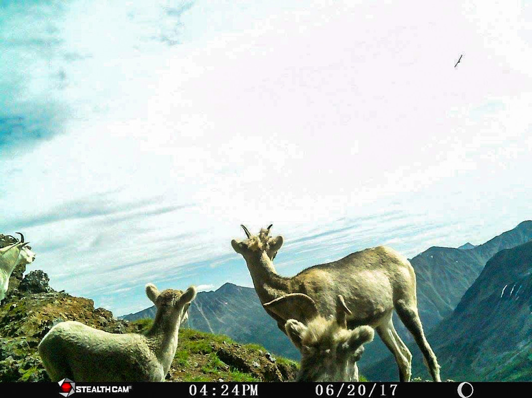 E82D1000-1566-4537-BDBE-503D0A5102AC