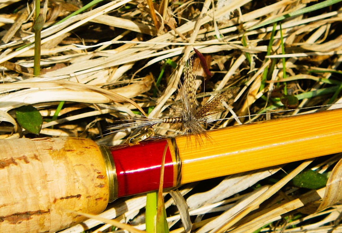 Gordon's Quill & Leonard 2