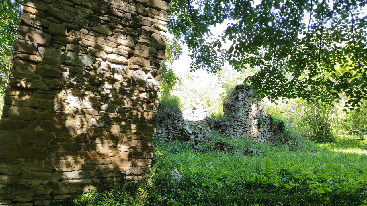 07.06 - IMG_20220618_153621 (Czesio1)