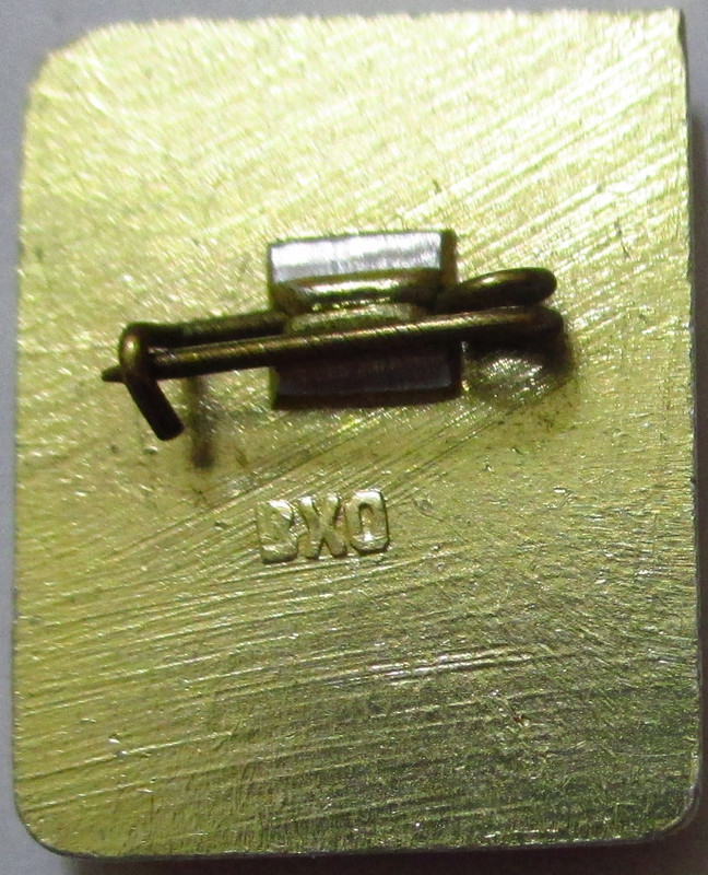 Пожарно-прикладные виды спорта (ВХО 2) (2)