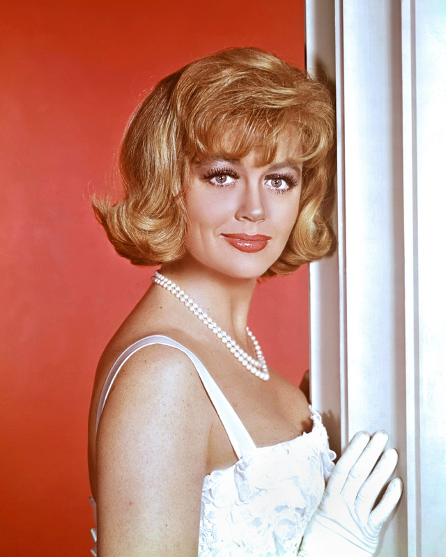 Dorothy_Malone_ma47